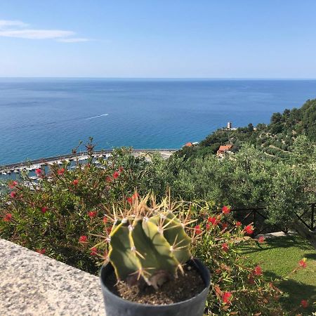Villa Degli Ulivi B&B Finale Ligure Exteriér fotografie