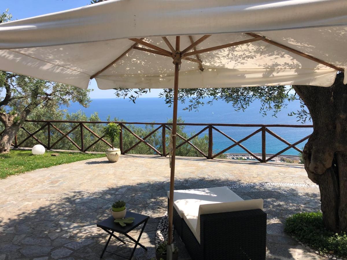 Villa Degli Ulivi B&B Finale Ligure Exteriér fotografie